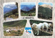 Delcampe - Carton De 7,620 Kilos De Cartes Postales Principalement France , Modernes Et Semi Modernes. - 500 Postcards Min.