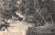 Guinee  Sous Bois Environs De Dubreka   (scan Recto Verso ) Nono0037 - Guinée