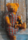 Teddy Aus Der Sammlung Christa Und Marten SCHULZE Fotografiert Von Christia KREUTER(SCAN RECTO VERSO)NONO0086 - Games & Toys