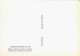 CHATILLON SUR SEINE  MUSEE  Tombe De VIX Coupe Attique à Figures Noires  8 (scan Recto Verso)nono0103 - Chatillon Sur Seine