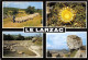 LE CAUSSE DU LARZAC Moutons Cardabelle Lavogne Et Rocher Du Roc Castel Millau 43 (scan Recto Verso)nono0122 - Millau