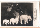 Happy ELEPHANT Figures Latvia Vintage PHOTO 1956 - Elefanti