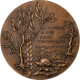 France, Médaille, 60ème Anniversaire De La Bataille De Verdun, WAR, 1976 - Otros & Sin Clasificación