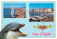 Animaux - Dauphins - CPM - Voir Scans Recto-Verso - Dolphins
