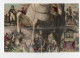 Puzzle Complet 12 Cartes Postales Anciennes . NAPOLEON - War 1914-18