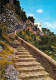 Capri - Ancien Escalier De Anacapri Et Villa San Michele - Andere & Zonder Classificatie