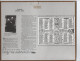 CALENDRIER DE 1906  Avec Au Dos Le 1er Calendrier Postal De  1854  250x200 - Petit Format : 1901-20