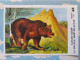 IMAGE COOP N° 44 L'OURS BRUN PARC NATIONAL DES PYRENEES - Andere & Zonder Classificatie