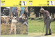 GF1624 - FICHES GOLF - PETER THOMSON - GRAHAM MARSH - TONY JACKLIN - HOWARD CLARK - DAI REES - HENRY COTTON - Otros & Sin Clasificación