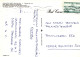 OISEAU Animaux Vintage Carte Postale CPSM #PBR702.A - Oiseaux
