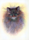 GATTO KITTY Animale Vintage Cartolina CPSM #PBQ950.A - Katzen