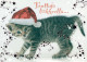 CAT KITTY Animals Vintage Postcard CPSM #PBQ878.A - Cats