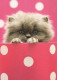 CAT KITTY Animals Vintage Postcard CPSM #PBQ923.A - Cats