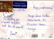 LION Animaux Vintage Carte Postale CPSM #PBS028.A - Leoni