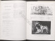 Cinofilia - Harry Salamon - I Cento Anni Dell'dell'ENCI - 1^ Ed. 1982 - Andere & Zonder Classificatie
