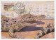 Maximum Card Australia 1994 Crocodile - Pelican - Other & Unclassified