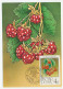 Maximum Card Hungary 1986 Raspberries - Obst & Früchte