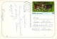 FLOWERS Vintage Ansichtskarte Postkarte CPSM #PAS680.DE - Bloemen