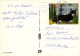 HUND Tier Vintage Ansichtskarte Postkarte CPSM #PAN930.DE - Chiens