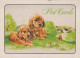 HUND Tier Vintage Ansichtskarte Postkarte CPSM #PAN663.DE - Chiens
