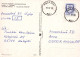 ÁRBOLES Vintage Tarjeta Postal CPSM #PBZ965.ES - Alberi