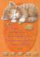 GATO GATITO Animales Vintage Tarjeta Postal CPSM #PBQ755.ES - Katten