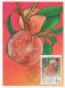 Maximum Card Hungary 1986 Peach - Obst & Früchte