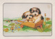 PERRO Animales Vintage Tarjeta Postal CPSM #PAN661.ES - Chiens