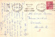 GATO GATITO Animales Vintage Tarjeta Postal CPSM #PAM339.ES - Gatos
