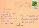 GATO GATITO Animales Vintage Tarjeta Postal CPSM #PAM215.ES - Katten