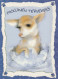 CHIEN Animaux Vintage Carte Postale CPSM #PBQ424.FR - Chiens