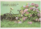 FLEURS Vintage Carte Postale CPSM #PAR354.FR - Blumen