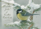 OISEAU Animaux Vintage Carte Postale CPSM #PAN402.FR - Birds