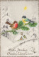 OISEAU Animaux Vintage Carte Postale CPSM #PAM970.FR - Birds