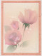 FLOWERS Vintage Postcard CPSM #PBZ660.GB - Blumen