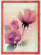 FLOWERS Vintage Postcard CPSM #PBZ660.GB - Blumen