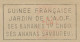 Meter Cover / Postmark French Guinea 1955 Banana - Pineapple - Obst & Früchte