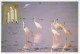 Maximum Card China 1986 Bird - White Crane  - Autres & Non Classés