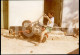 1973 ORIGINAL AMATEUR PHOTO FOTO MONKEY BIKE JAPANESE MOTORCYCLE MOZAMBIQUE MOÇAMBIQUE AFRICA AFRIQUE AT308 - Wielrennen