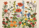 FLOWERS Vintage Postcard CPSM #PAR231.GB - Fleurs