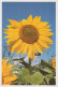 FIORI Vintage Cartolina CPSM #PBZ786.IT - Fleurs