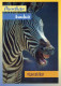 ZEBRA Animale Vintage Cartolina CPSM #PBR933.IT - Zebras