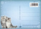 GATTO KITTY Animale Vintage Cartolina CPSM #PBQ943.IT - Katzen