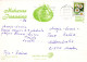 PASQUA UOVO Vintage Cartolina CPSM #PBO146.IT - Ostern