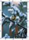 UCCELLO Animale Vintage Cartolina CPSM #PAM725.IT - Birds