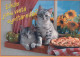 GATTO KITTY Animale Vintage Cartolina CPSM #PAM342.IT - Cats