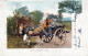 ASINO Animale Vintage CPA Cartolina #PAA217.IT - Donkeys