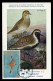 GREENLAND (2023) Carte Maximum Card - UN World Migratory Bird Day Golden Plover Pluvialis Apricaria Pluvier Doré Bird - Maximumkarten (MC)