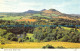 R063439 Scotts View. Eildon Hills. Dennis - World