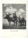 Animaux -  Attelage  De Boeufs - Temoignage De Satisfaction Accorde Annee 1941 - Cows